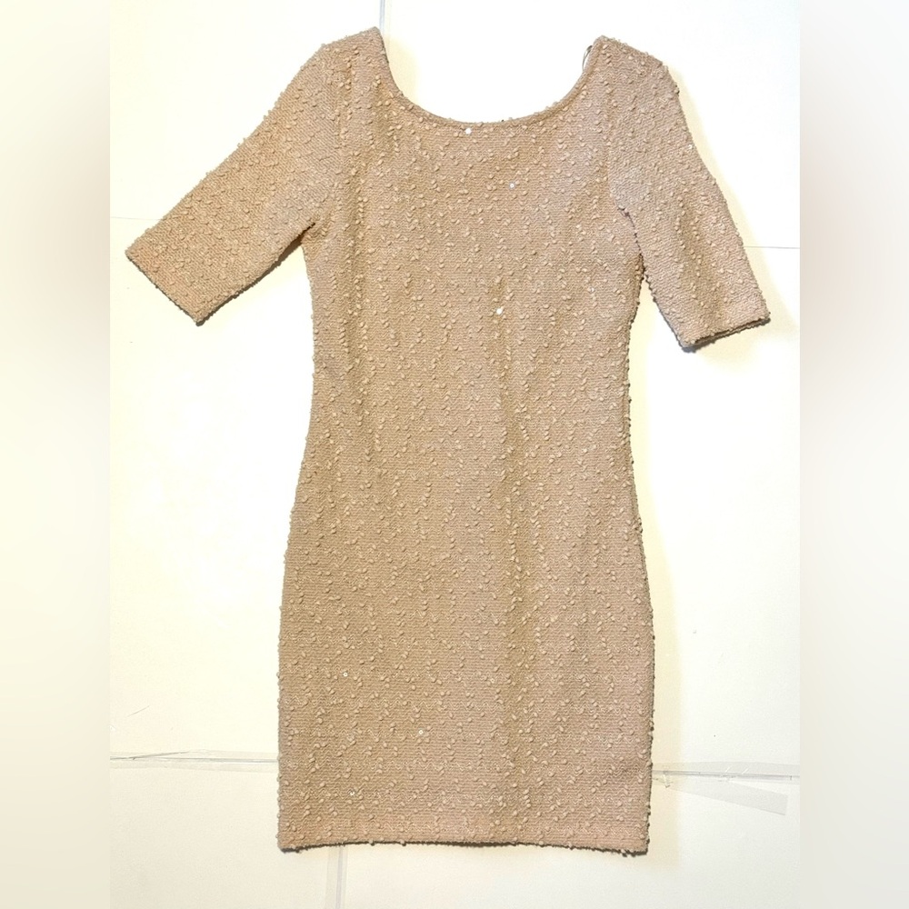 Forever 21 Nude Clear Sequined Mini Dress